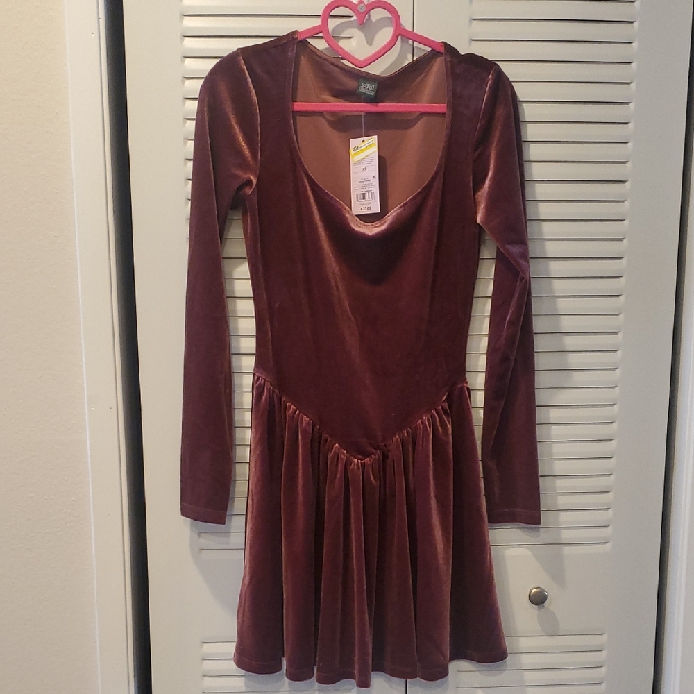 Wild Fable Velour Wine Long Sleeve Dress